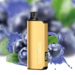 Alibarbar Ingot 9000 Puffs Disposable Vape Blueberry Blast Flavored Australia