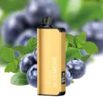 Alibarbar Ingot 9000 Puffs Disposable Vape Blueberry Mint Flavored Australia