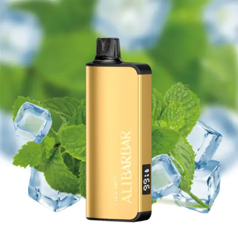 Alibarbar Ingot 9000 Puffs Disposable Vape Cool Mint Flavored Australia