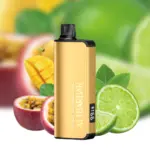 Alibarbar Ingot 9000 Puffs Disposable Vape Passionfruit Mango Lime Flavored Australia
