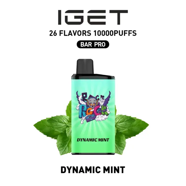IGET BAR PRO 10000 Puffs Dynamic Mint Flavored Disposable Vape Australia