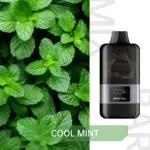 IGTE MIX BAR 12000 Puffs Cool Mint Flavored Australia